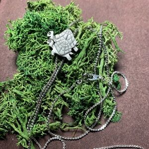 Turtle necklace